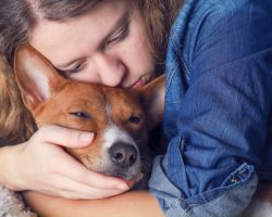11 Gentle Signs Your Dog May Be Nearing the End — And How to Support Them