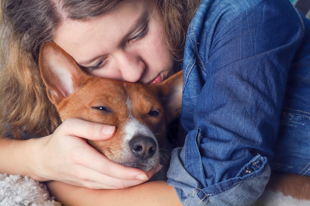 11 Gentle Signs Your Dog May Be Nearing the End — And How to Support Them
