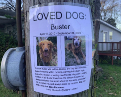 Woman Spots ‘Missing Dog’ Poster — Then Realizes It’s Something Much More Beautiful