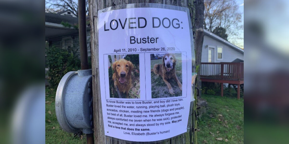 Woman Spots 'Missing Dog' Poster — Then Realizes It’s Something Much More Beautiful