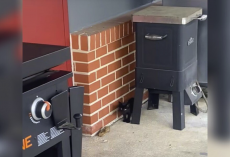 Firefighter Steps Outside for a Break — And Finds a Tiny Follower With Big Plans