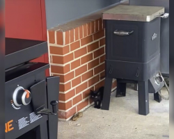 Firefighter Steps Outside for a Break — And Finds a Tiny Follower With Big Plans