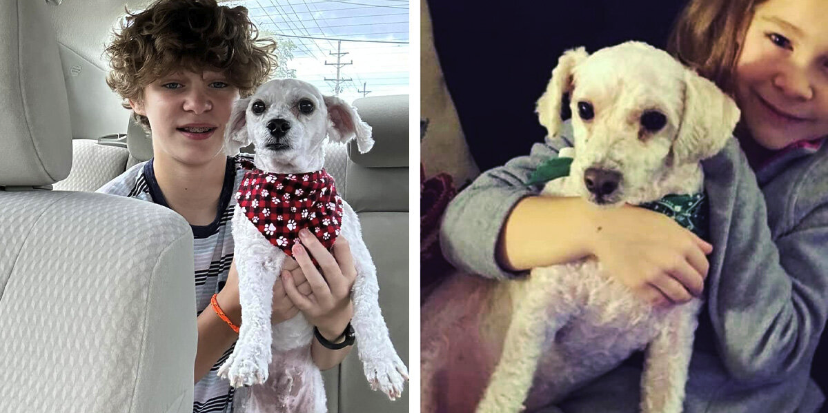 Family Picks Up Dog From Groomer — Then Realizes He Smells a Little Too Fresh