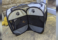 Dirty Playpen Left On Roadside Was Hiding a Tiny Surprise Inside