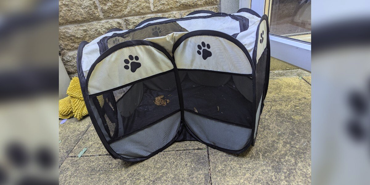 Dirty Playpen Left On Roadside Was Hiding a Tiny Surprise Inside