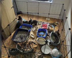 Realtor Checks On Vacant Rental — And Discovers a Playpen Full of Abandoned Babies