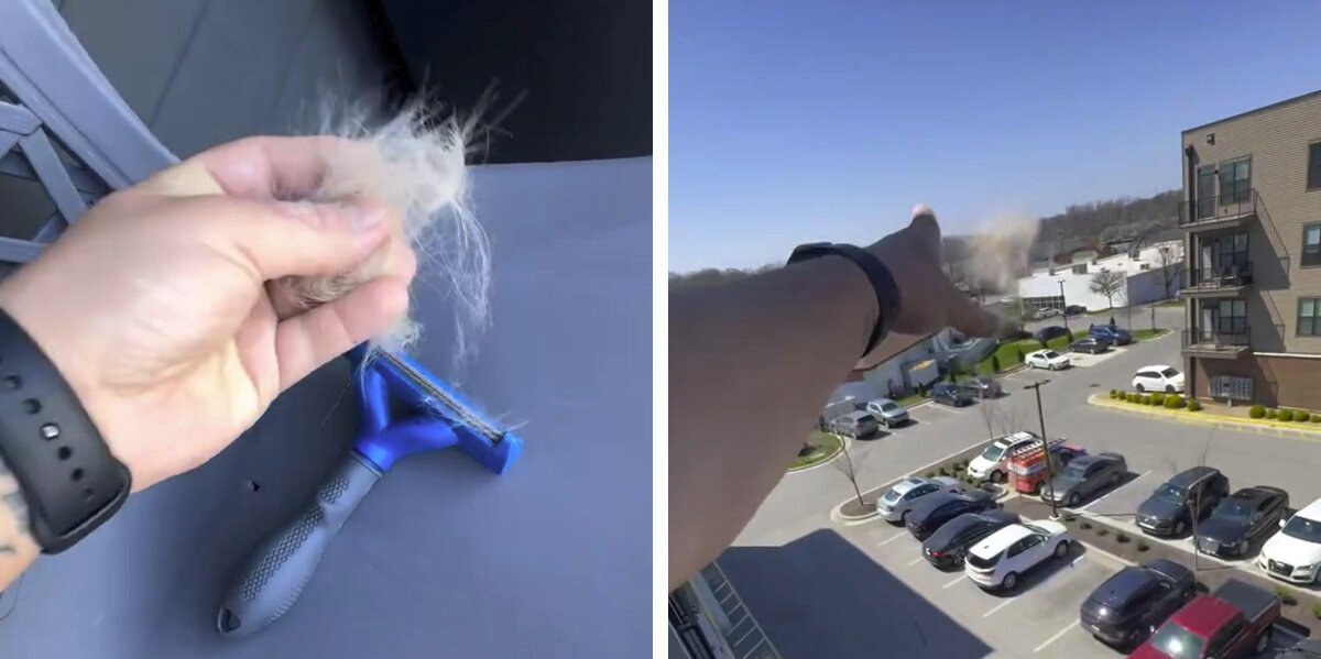 Man Tosses Dog Fur Off His Balcony — Then Nature Puts On A Show