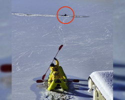 Firefighters Smash Through 200 Yards of Ice to Save Desperate Deer Trapped in Frozen Lake