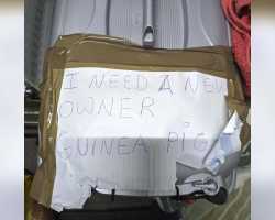 Commuters Find Pet Carrier On Subway Platform — And The Note On Top Breaks Everyone’s Heart
