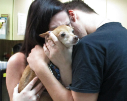 Dog Missing For 6 Years Runs Straight Into His Family’s Arms
