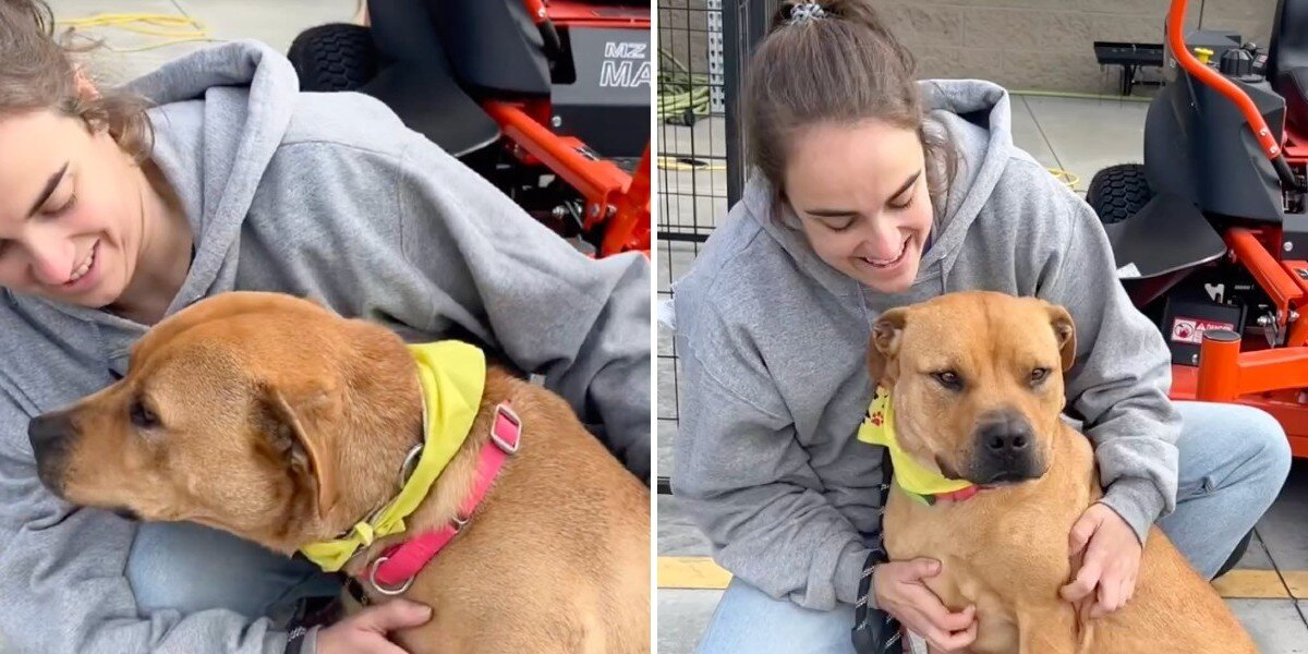 Dog Beams At Everyone At Adoption Event — But Still Gets Overlooked