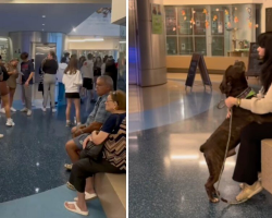 Hundreds Rush to Save Shelter Dogs Ahead of Hurricane