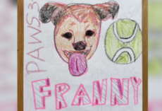 Elementary Students Write 100 Heartfelt Letters to Help Shelter Dog Find a Home