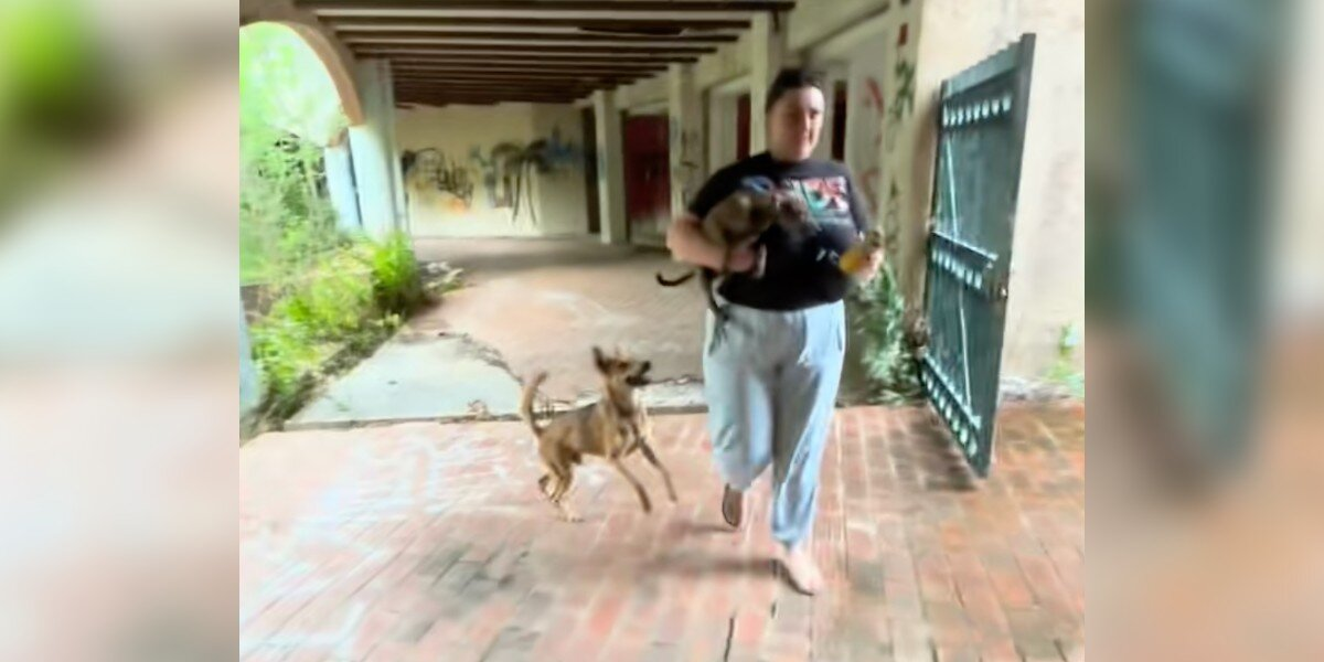 Dad Dog Refuses To Let Rescuers Take His Puppies Without Him