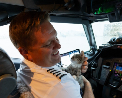 Airline Pilot Adopts Homeless Kitten Mid-Flight