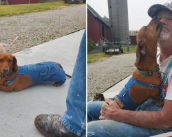 Dog Gets His Own Pair Of Overalls To Match His Dad’s Signature Look