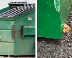 Rescuers Spot a Furry Face Stuck in a Dumpster — And Rush to Help