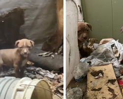 Little Family Found Surviving Inside Abandoned House Finally Gets Rescued