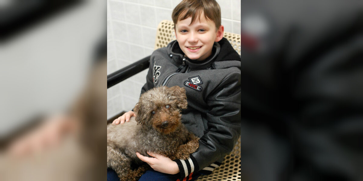 Boy Chooses The Oldest Dog At Shelter — And Gives Him The Retirement He Deserves