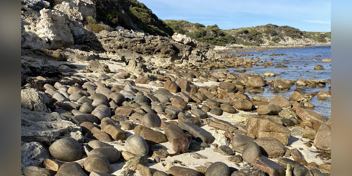People Can’t Stop Struggling To Find The Two Dogs In This Photo