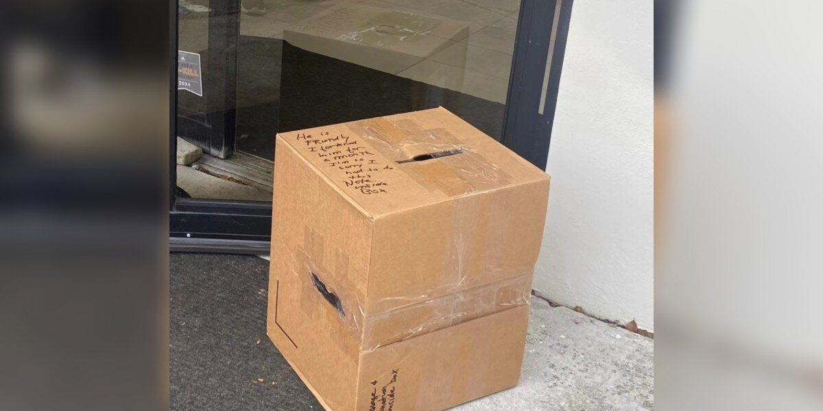 Rescuers Find Sealed Box On Their Doorstep — And A Frightened Face Inside