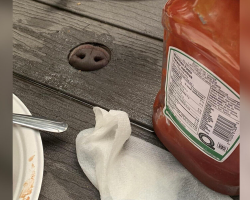 Friends Sit Down for Dinner — And Realize Someone Unexpected Is at the Table