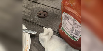 Friends Sit Down for Dinner — And Realize Someone Unexpected Is at the Table