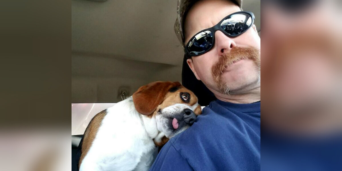 Dog Saved From Death Row Shows His Rescuer Instant Gratitude