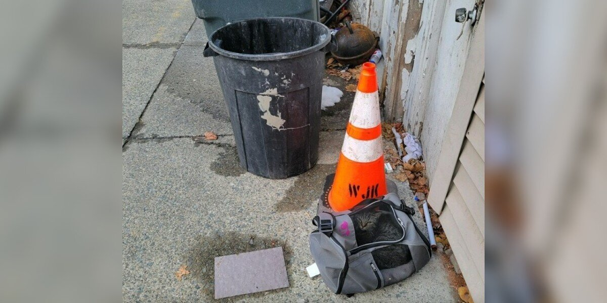 Duffel Bag Dumped Near Trash Reveals a Precious Surprise