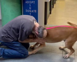 Cancer Survivor Reunites With Beloved Dog After Years Apart