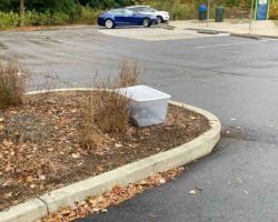 Friends Find Plastic Box In Park — With A Whole Family Inside