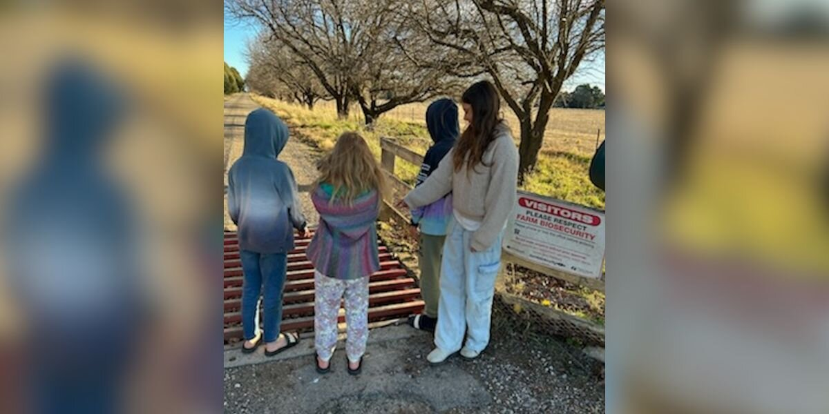Kids Stop To Check Mailbox And End Up Saving A Life