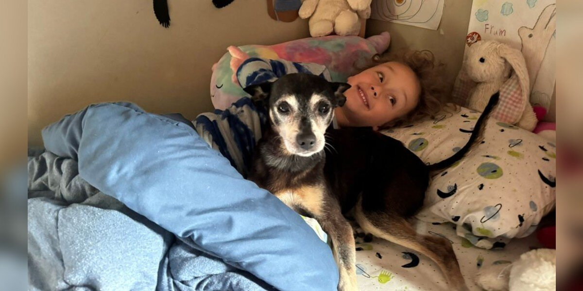 Family Adopts Dog Who Looks Just Like Their Late Pup — And Learns He’s Actually Family