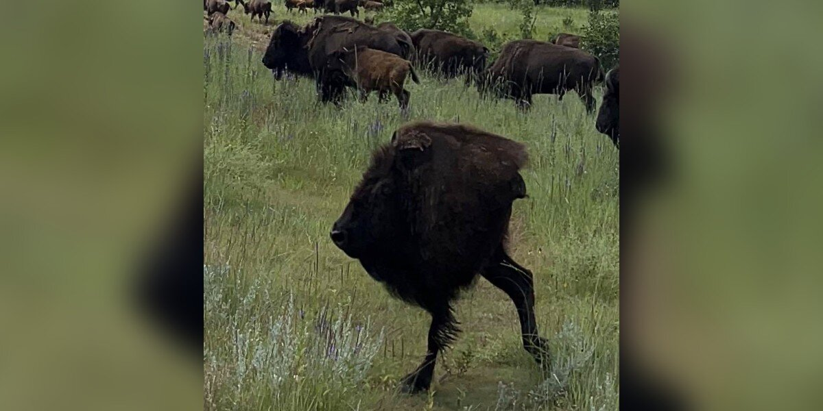 Woman’s Attempt At Scenic Photo Turns Into Hilarious Fail