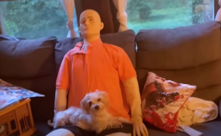 Tiny Senior Dog Shares Heartwarming Connection With Life-Sized Emotional Support Doll