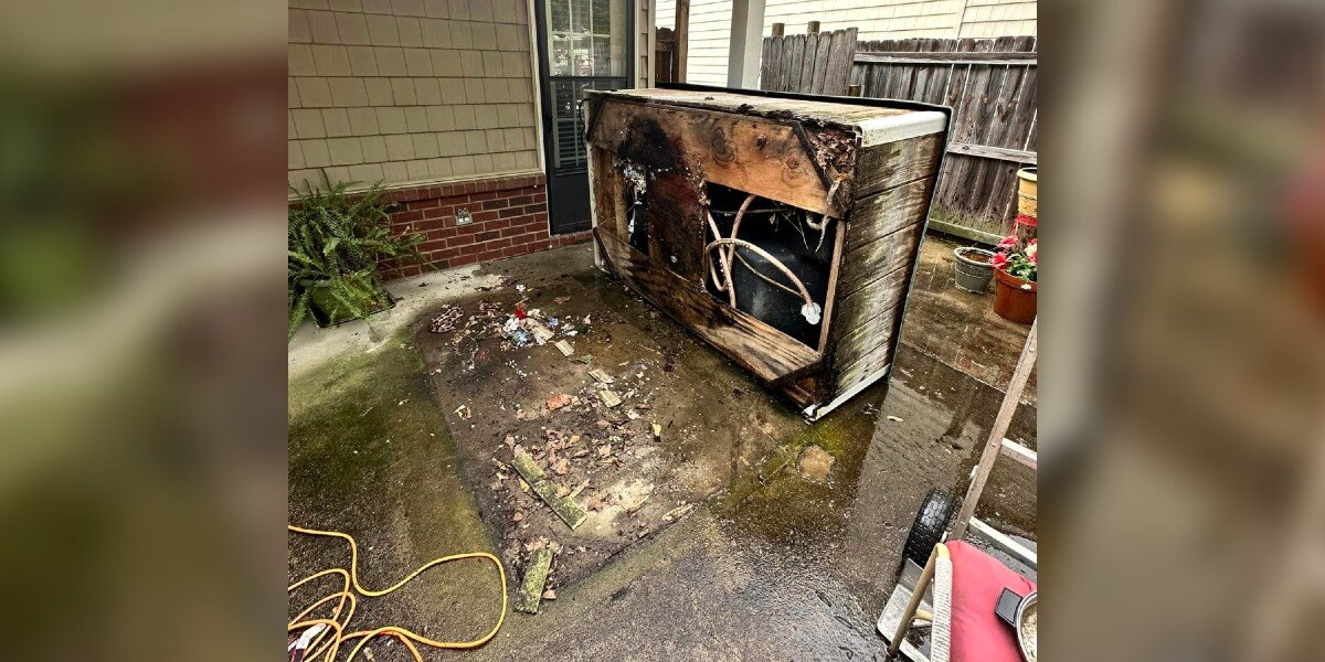 Junk Removal Crew Lifts Hot Tub And Finds A Scaly Surprise