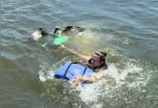 Boaters Spot Struggling Osprey In Lake — And Risk Everything To Save Her