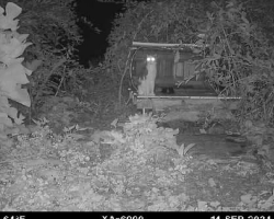 Pair of Glowing Eyes on Security Camera Turns Out to Be a Missing Friend