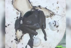 Ceramic Artist Spots Something Stuck In His Mold — Then Realizes They’re Tiny Legs