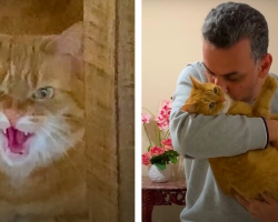 Grumpy Cat Who ‘Hated Everyone’ Finally Found One Person She Loves