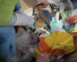 Rescuer Stops In His Tracks When He Spots A Tiny Face In The Trash
