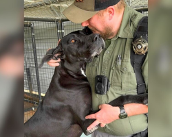 Pup Rescued From Certain Death Clings To The First Person Who Showed Her Kindness