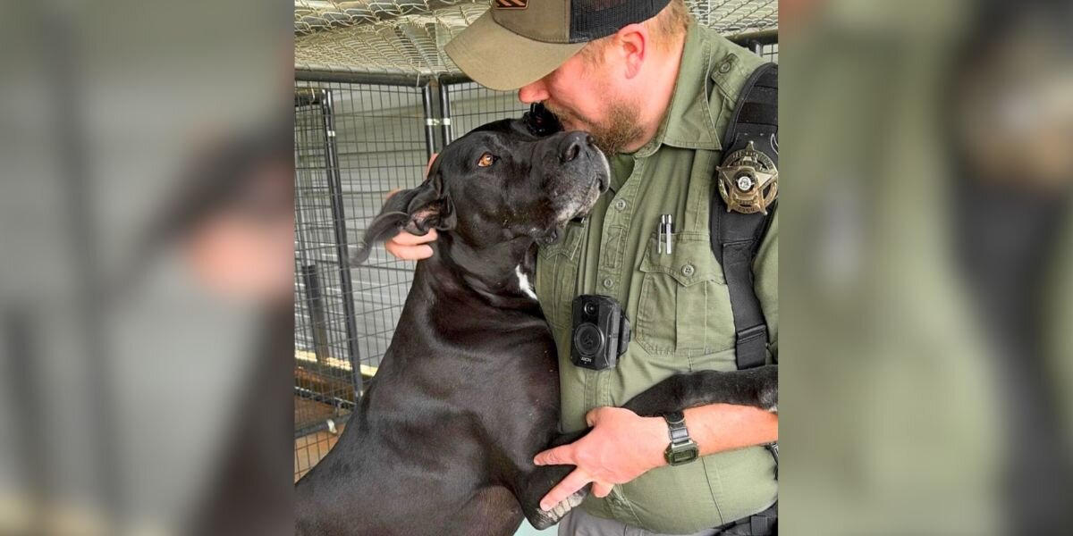 Pup Rescued From Certain Death Clings To The First Person Who Showed Her Kindness