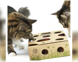 11 Interactive Cat Toys That Keep Your Kitty Busy (Even When You’re Not Playing)