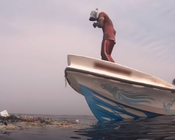 Whale Watching Tour Spots Floating Trash — With a Turtle Trapped Inside