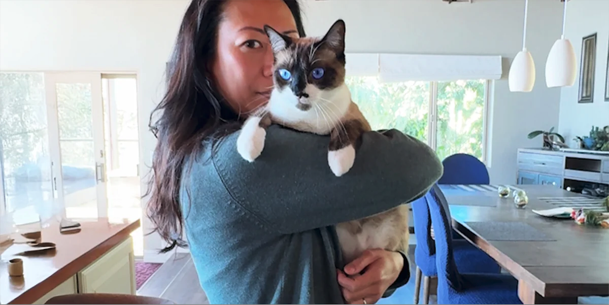 Cat Dumped Because He Had A Broken Leg - Thanks New Mom For Adopting Him