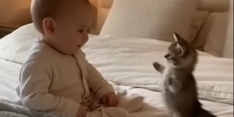 The Lovely Friendship Between a Cat and a Baby Is Melting The Internet’s Heart