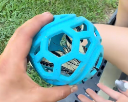 Woman Grabs Her Dog’s Old Ball — And Finds Something Stunning Inside