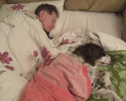 Dad Sleeps On Couch Every Night So His Elderly Dog Never Feels Alone