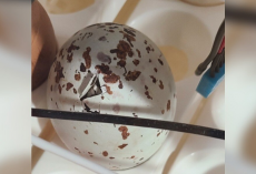Woman Hatches Mysterious Egg From An Old Barn — And Is Shocked By Who Crawls Out